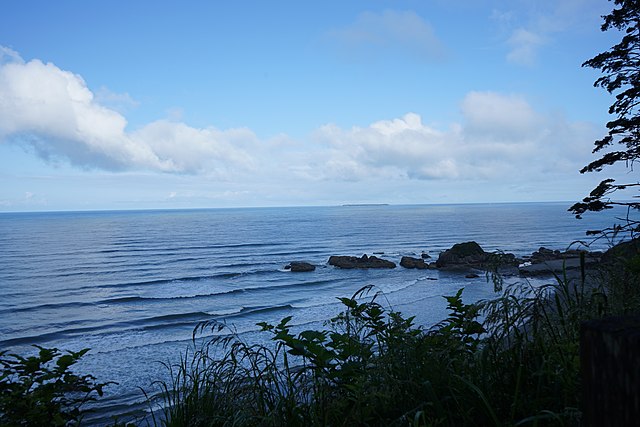 Green Shore Ocean shore